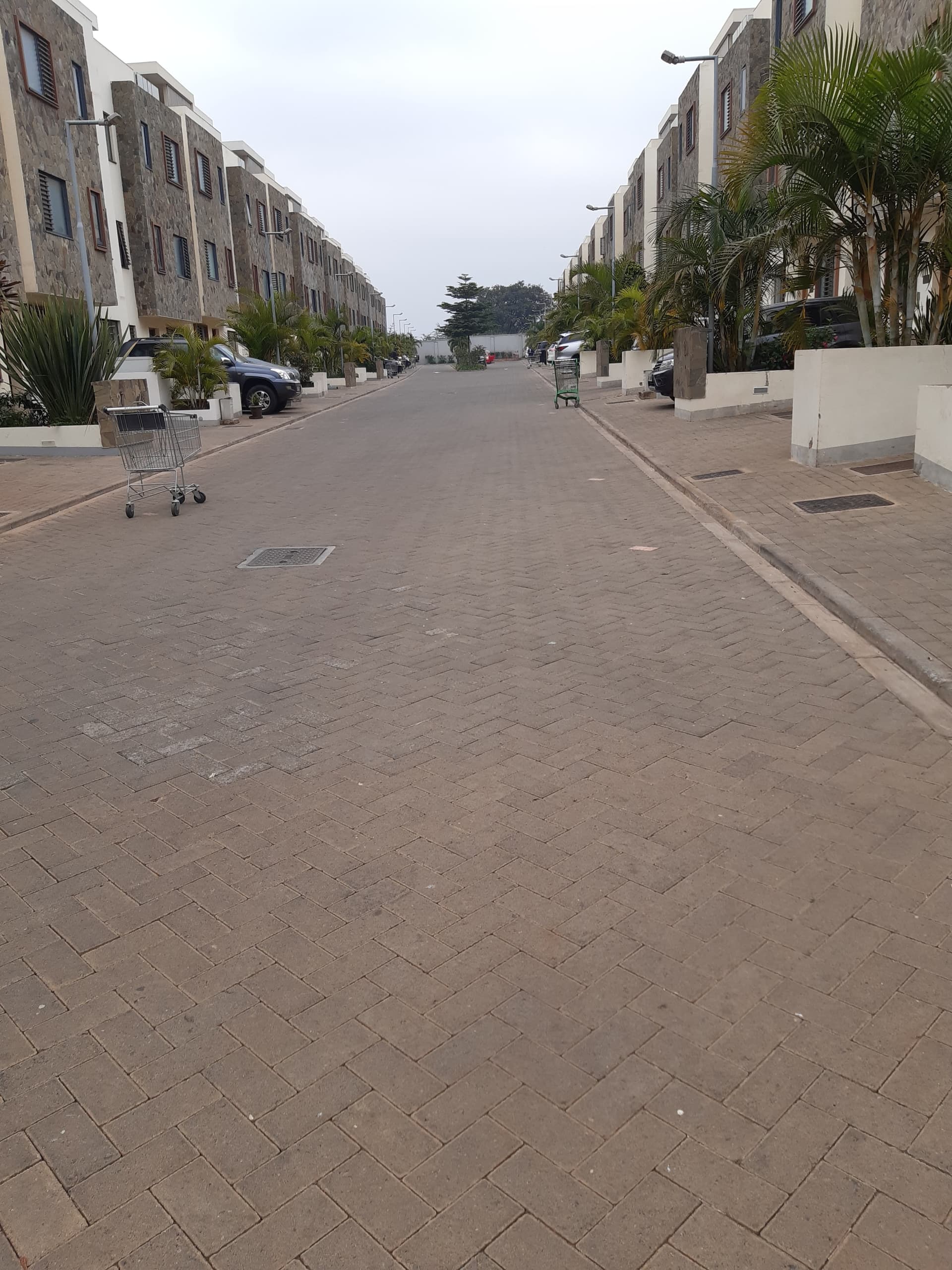 Garden City Estate Home - View 4